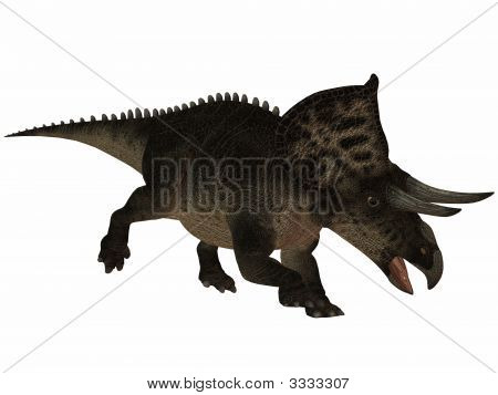 Zuniceratops dinozaur 3D