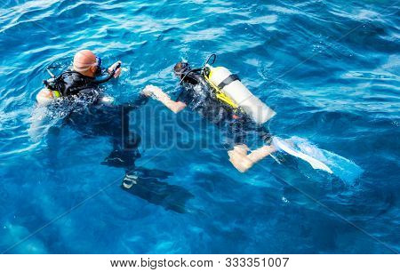 Divers Man And Woman Swim In The Red Sea In Egypt In Sharm El Sheikh