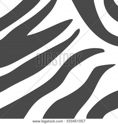 Zebra Stripes Background. Abstract Monochrome Animal Print. Can Be Used As Fabric Texrure Or Wallpap