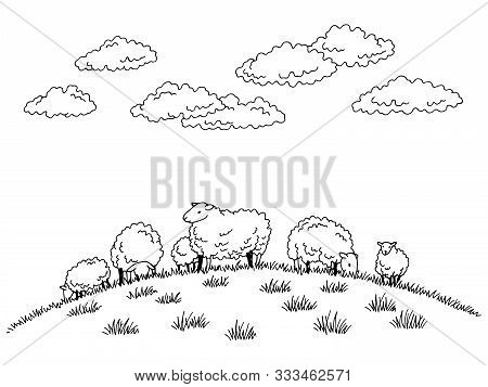 Sheep Feeding Grass On The Hill Graphic Black White Sketch Illustration Vector