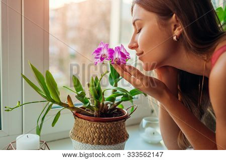 Woman Smelling Dendrobium Orchid On Window Sill. Housewife Taking Care Of Home Plants And Flowers.