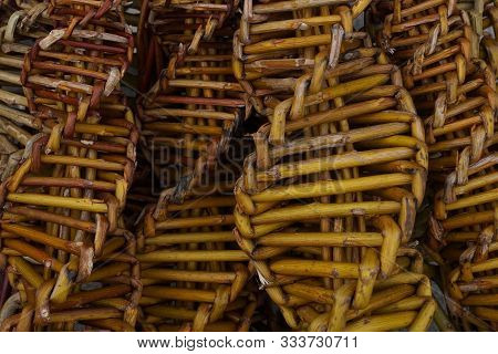 Czech Easter Pussywillow Twigs