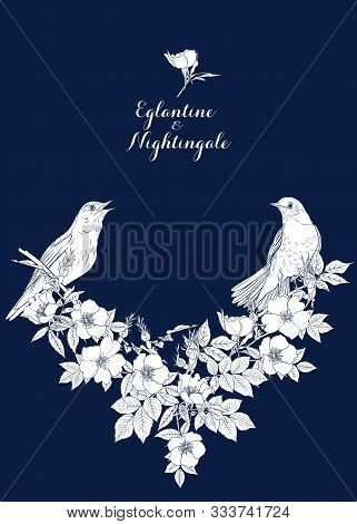 Dog-rose, Briar, Brier, Eglantine, Canker-rose And Nightingale. Template For Wedding Invitation, Gre