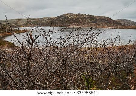 Beautiful Summer Day Landscape Abandoned Artnature Coastal Defense North Teriberka, Barents Sea View