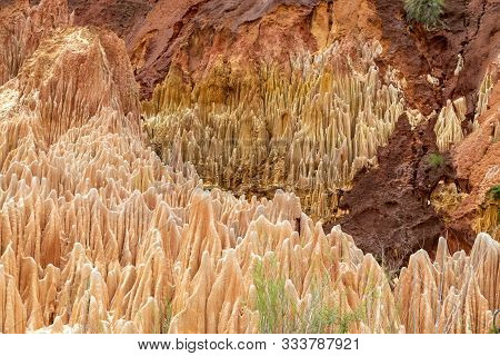 Red Sandstone Formations  And Needles (tsingys) In Tsingy Rouge Park In Madagascar, Africa