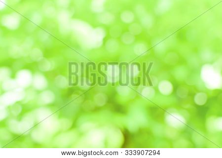 Green Blurred Abstract Background. Defocused Abstract Background.