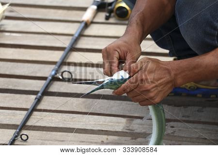 Fishermen Are Removing The Hook From The Fish. Fishermen Are Fishing.
