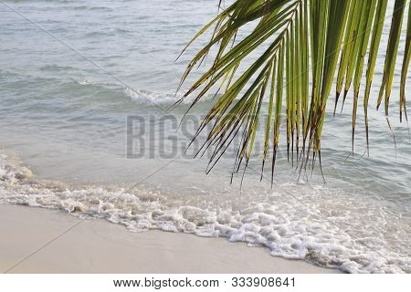 The Stem Of The Coconut Tree With A Beach Background.