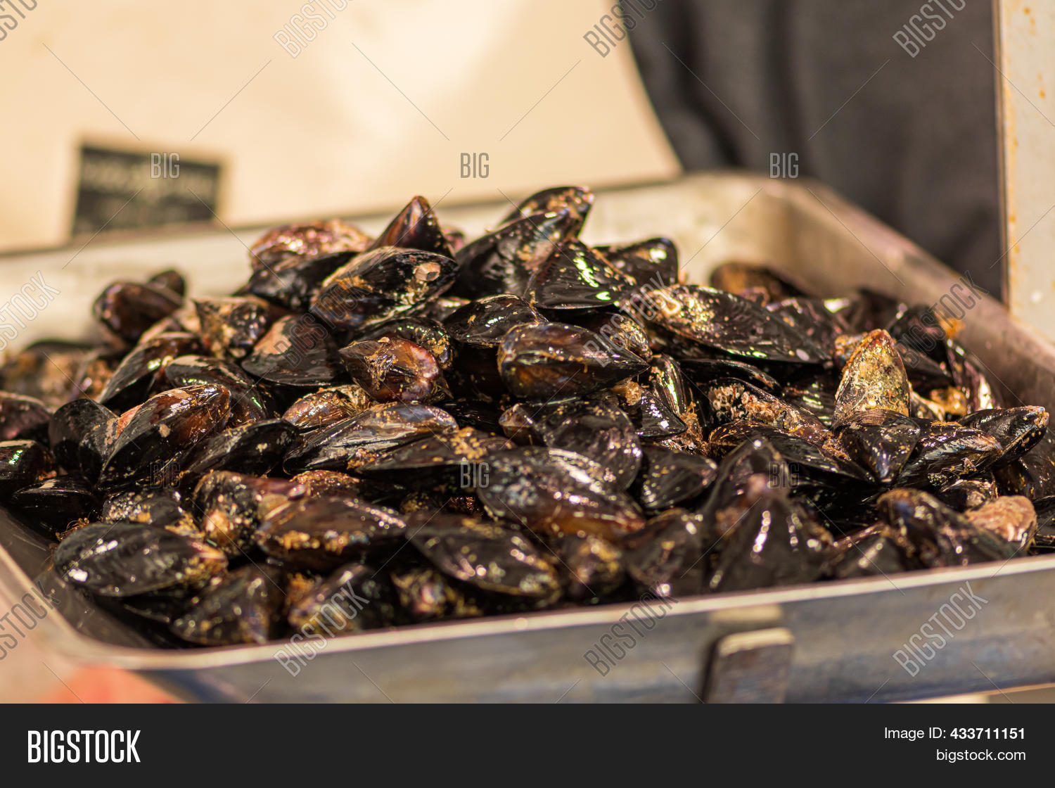 Fresh Mussels Mollusk Image & Photo (Free Trial) Bigstock