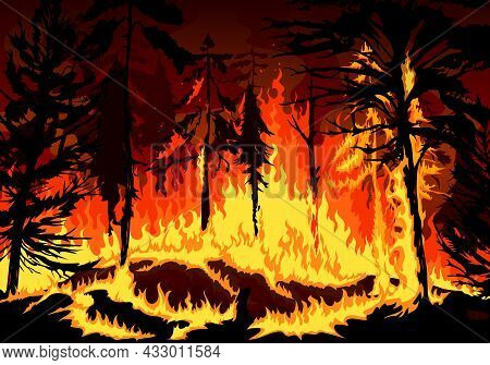 Pine Forest Fire, Wildfire Danger Disaster With Burning Trees, Grass And Bushes, Vector Background N