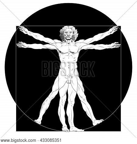 Vector Design Of Vitruvian Man Original Work Leonardo Da Vinci In Black And White
