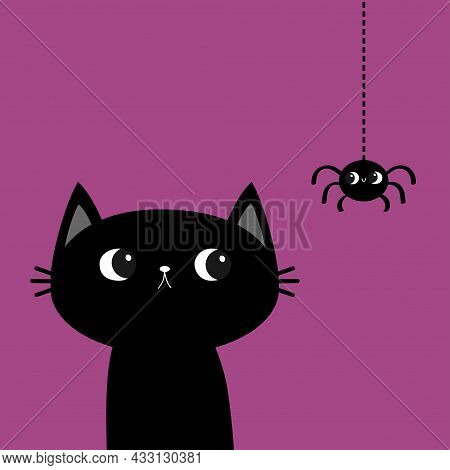 Black Cat Kitten. Hanging Spider. Happy Halloween. Bones Text Font. Bone Letter Type. Cute Cartoon K