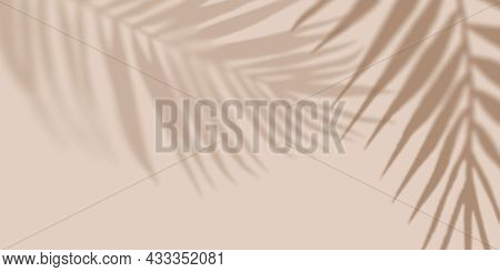 Shadow Nature Palm Light Pastel Background. Creative Copyspace. Unobtrusive Background With Shadow. 
