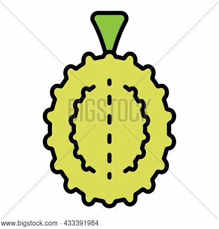 Whole Durian Icon. Outline Whole Durian Vector Icon Color Flat Isolated
