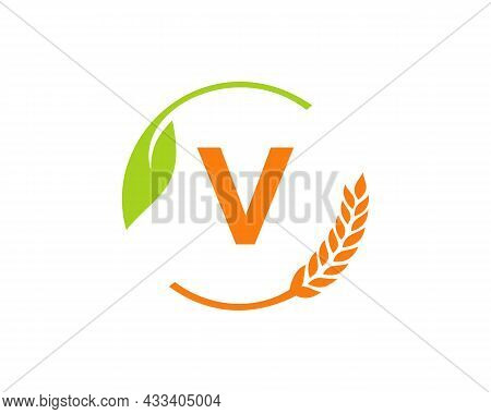 Agriculture Logo On V Letter Concept. Agriculture And Farming Logo Design. Agribusiness, Eco-farm An
