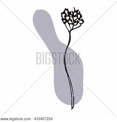 The Plant Is Drawn By Hand With A Pen And Translated Into Vector Format. In The Background There Is 