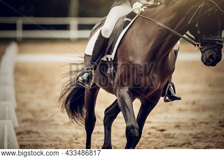 Equestrian Sport. The Leg Of The Rider In The Stirrup, Riding On A Horse. Stirrup Close-up. Dressage