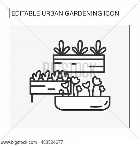 Houseplant Line Icon. Modern Aesthetic Plant For Houses. Organic Products. Farming And Garden Space.