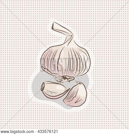 Garlic On A Polka Dot Background. Hand Drawn Vector Picture