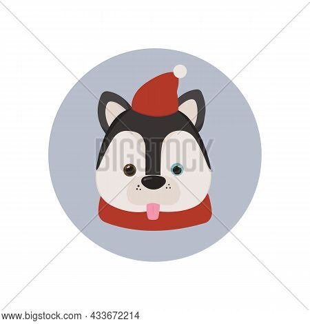 Husky Dog ​​in Red Hat And Scarf On Blue Background