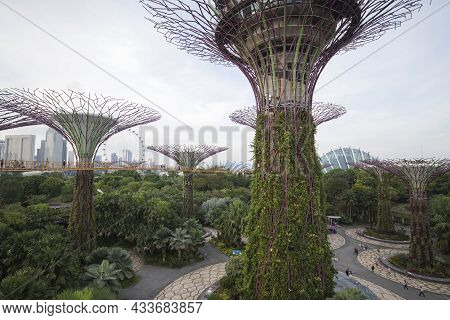 Singapore- Sep 9, 2021: Ocbc Skyway Aerial Walkway Between Supertree Grove Artificial Tree Construct
