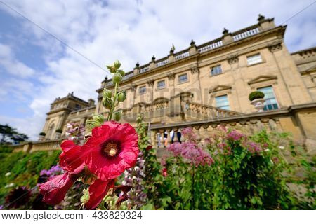 West Yorkshire, United Kingdom - August 20, 2021: Flowers In The Gardens Of Harewood House Harrogate