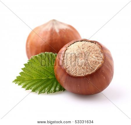 Hazelnuts in closeup