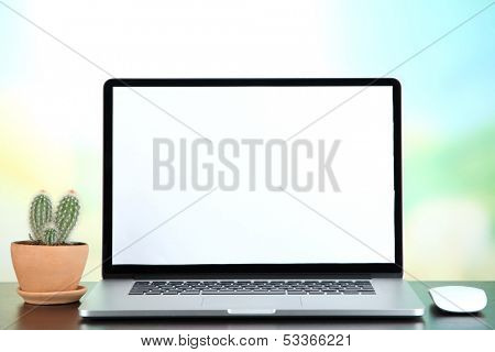 Laptop and cactus in flowerpot on wooden table