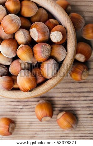 Hazelnuts