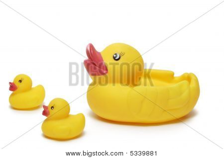 Familia del pato de goma