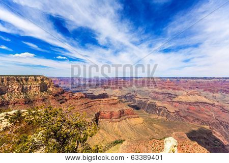 Arizona Grand Canyon National Park Yavapai Point USA