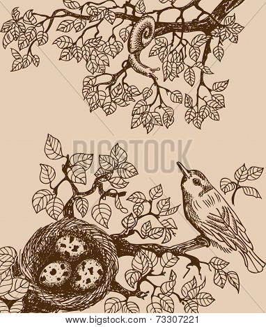 Bird and snail brown
