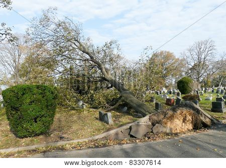 Cemetery After Storm