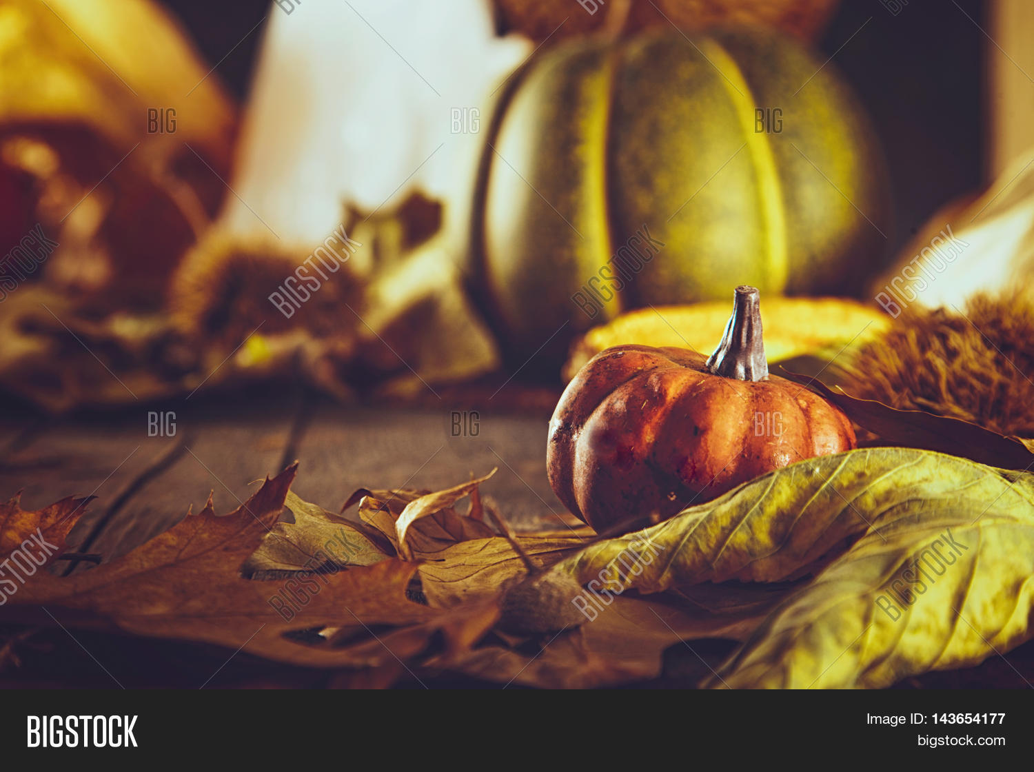 Thanksgiving Dinner. Image & Photo (Free Trial) | Bigstock