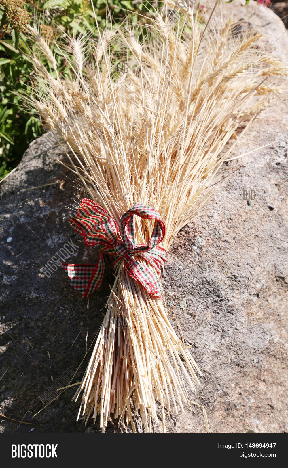 Sheaf Wheat Aka Bundle Image & Photo (Free Trial) Bigstock