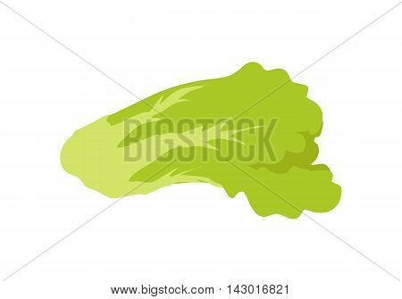 Green salad banner. Healthy food concept. Organic natural food. Consumption of high quality nourishment food. Part of series of promotion healthy diet and good fit. Vector illustration