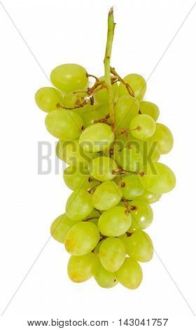 Juicy Ripe Grapes Isolated on White Background Studio Photo
