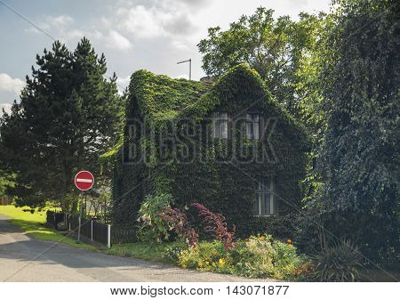 Green Plant House In Dubicky Village In North Bohemia