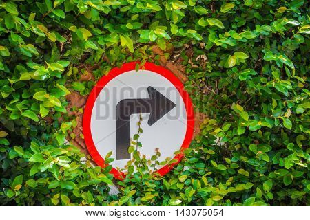 Turns to the right sign with green leaf