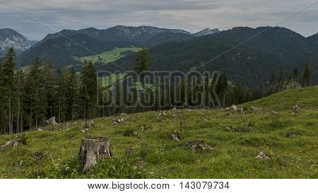 Mountain landscape behind cleared piece of woodlands