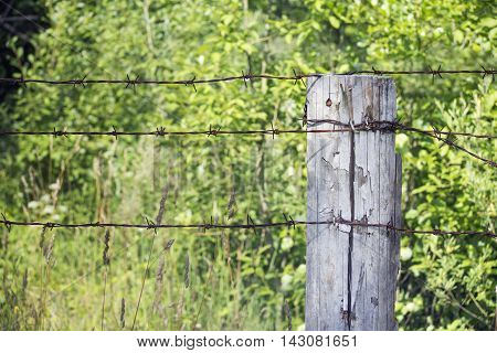 Close view of wooden pole with barbed wire