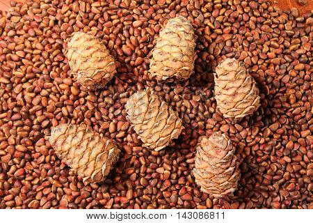 Fresh Siberian pine cedar nuts and pine cones - background and texture