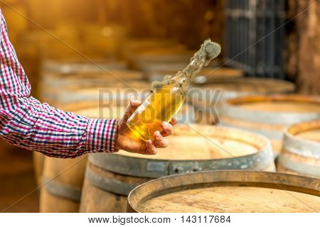 Holding old bottle of white wine with famous black mold in a wine cellar in Hungary