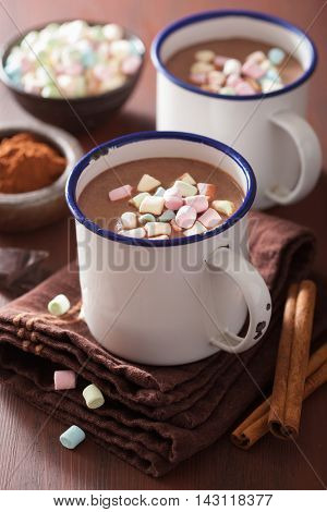hot chocolate with mini marshmallows cinnamon winter drink