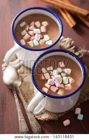 hot chocolate with mini marshmallows cinnamon winter drink