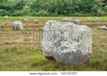 scenery around the Carnac stones a megalithic site in Brittany France