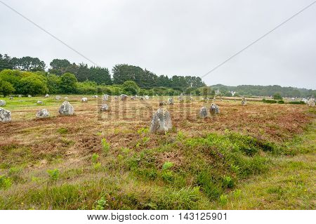 scenery around the Carnac stones a megalithic site in Brittany France