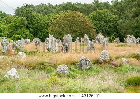 scenery around the Carnac stones a megalithic site in Brittany France