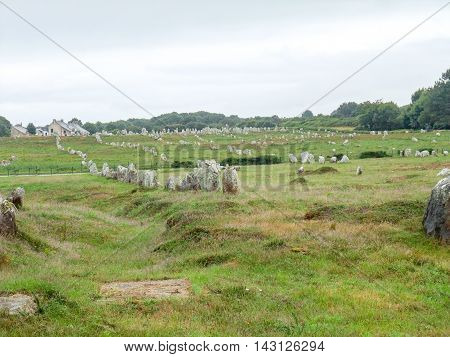 scenery around the Carnac stones a megalithic site in Brittany France