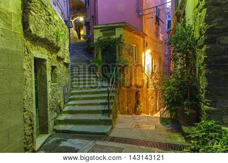 Narrow dark alley and stairway in the old town - typical Italian charming street decoration with plants and flowers at night in fishing village Vernazza, Five lands, Cinque Terre National Park, Liguria, Italy.